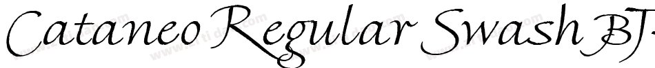 Cataneo Regular Swash BT字体转换